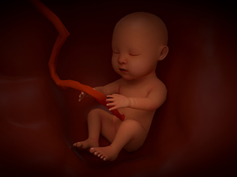 資訊〡國(guó)家衛(wèi)健委發(fā)布《全國(guó)出生缺陷綜合防治方案》