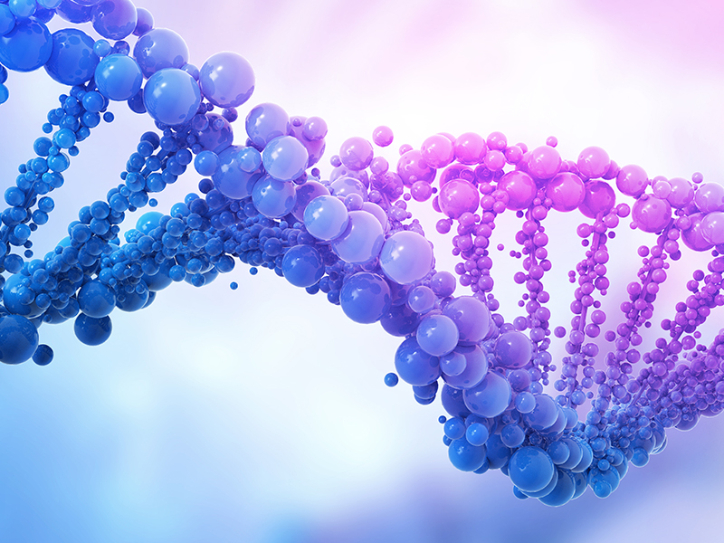CD-DST抗癌藥物敏感性檢測(cè)