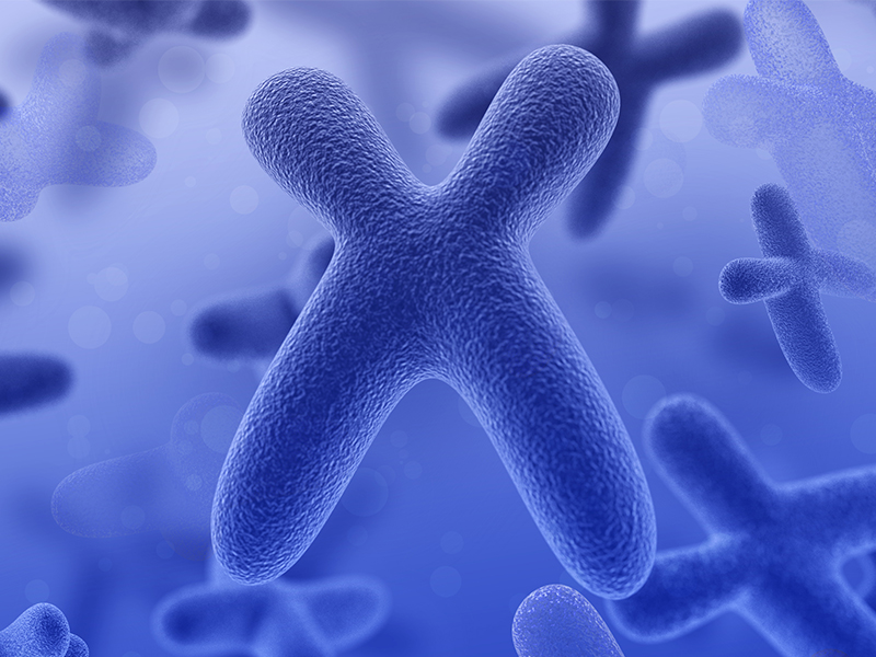 染色體異常檢測(cè)