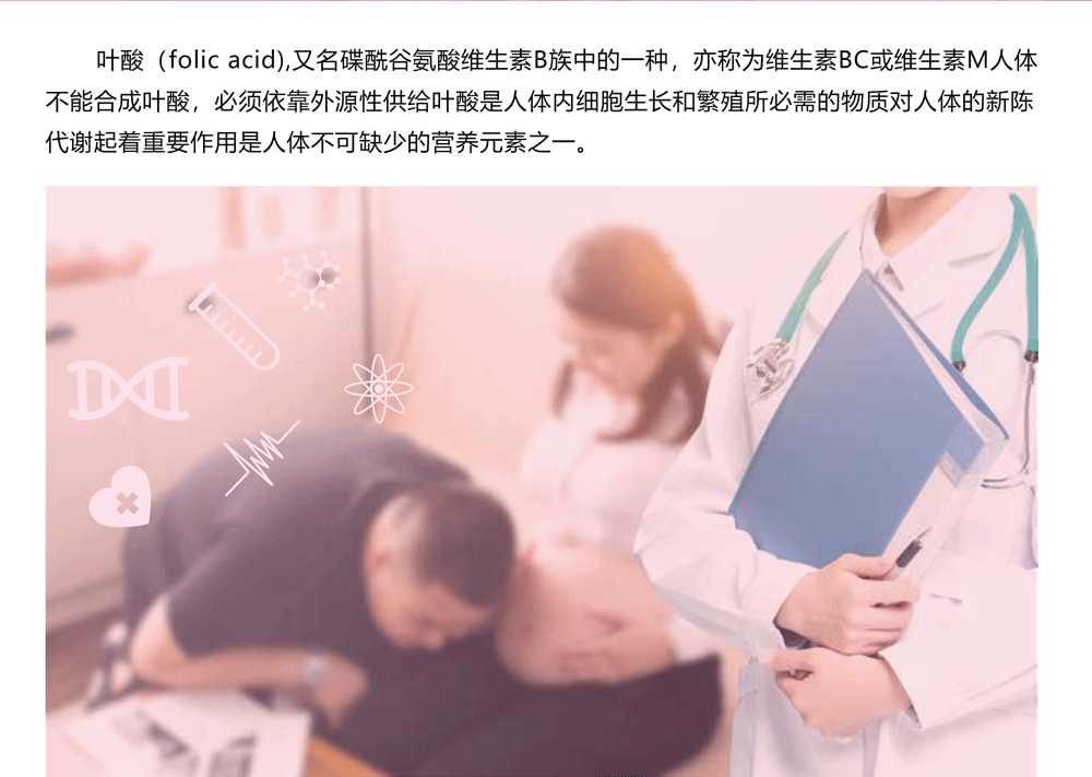葉酸_01